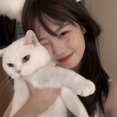 贝博app代言艾弗森下载手机版